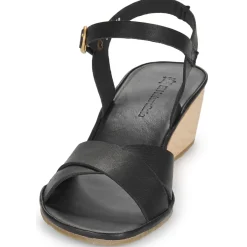 El Naturalista - GAIA N854 Noir