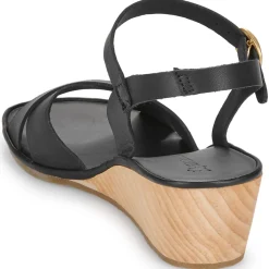 El Naturalista - GAIA N854 Noir