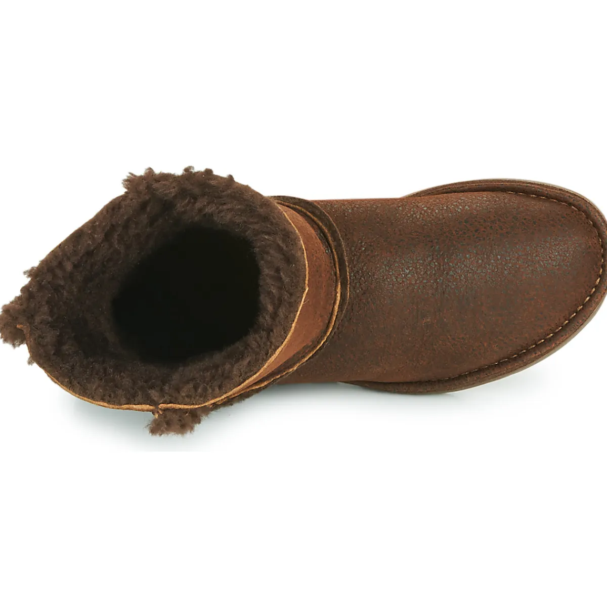 El Naturalista - LUX Marron