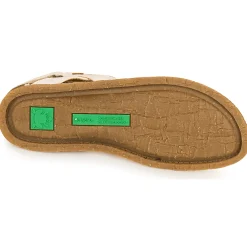 Hot El Naturalista - PLANGLAO Blanc