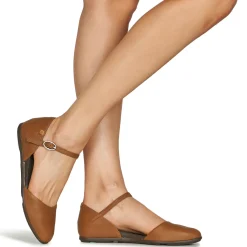 El Naturalista - STELLA ND54 Marron