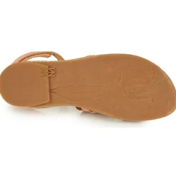 El Naturalista - TÜLBEND