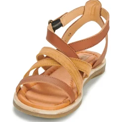 El Naturalista - TONAMI Cognac