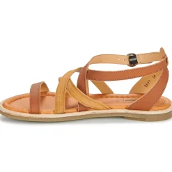 El Naturalista - TONAMI Cognac