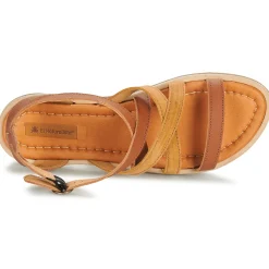 El Naturalista - TONAMI Cognac