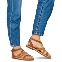 El Naturalista - TONAMI Cognac