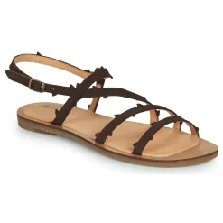 El Naturalista - TULIP N5193 Marron