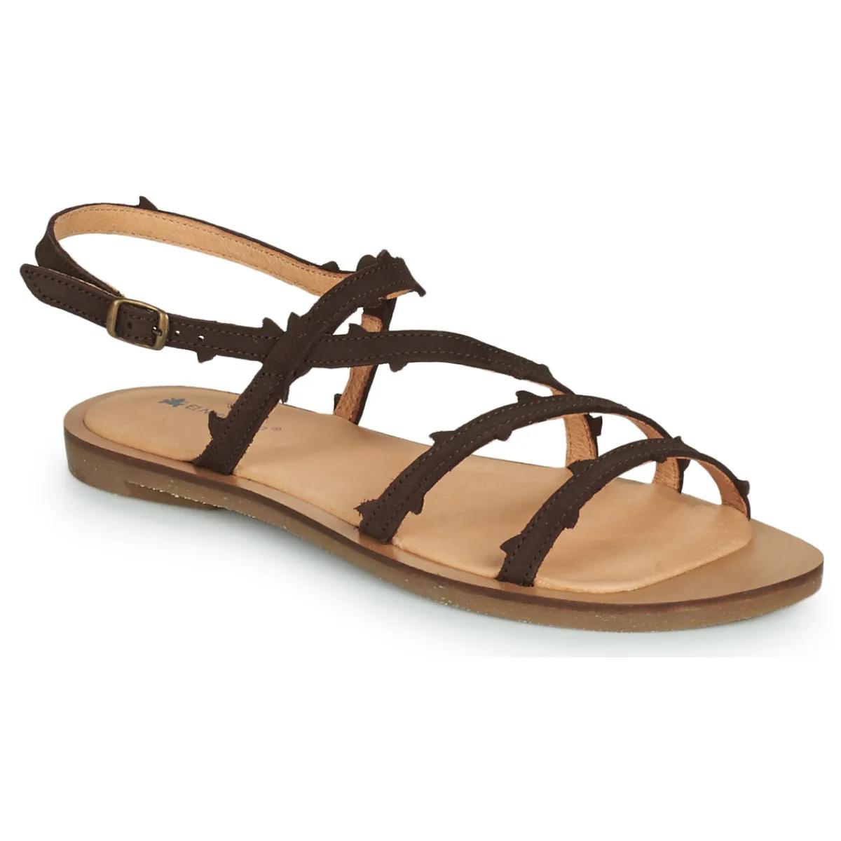 El Naturalista - TULIP N5193 Marron