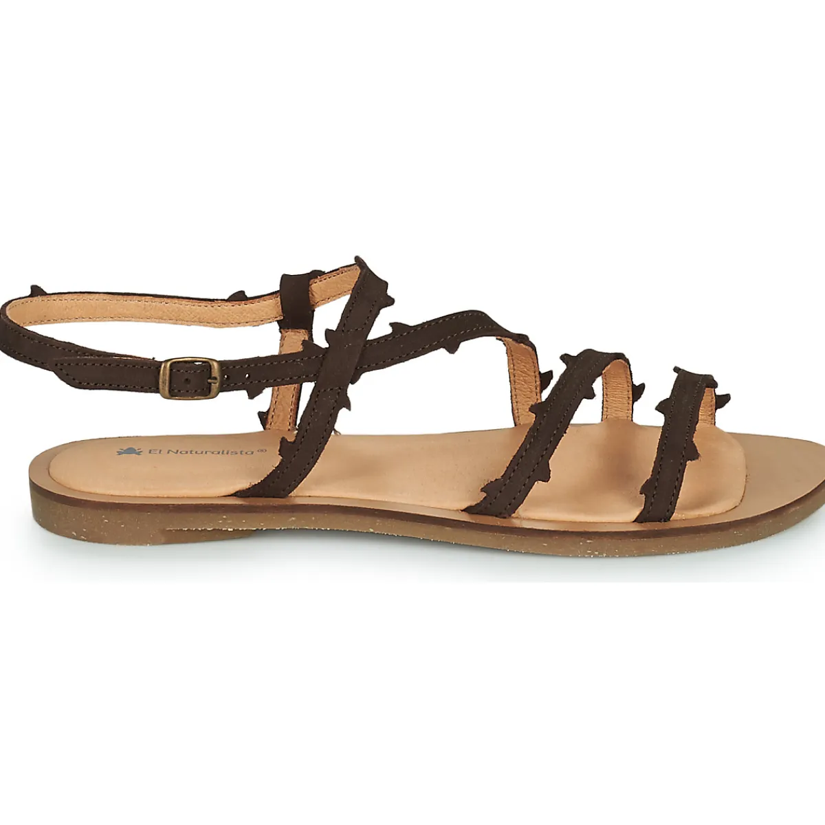 El Naturalista - TULIP N5193 Marron