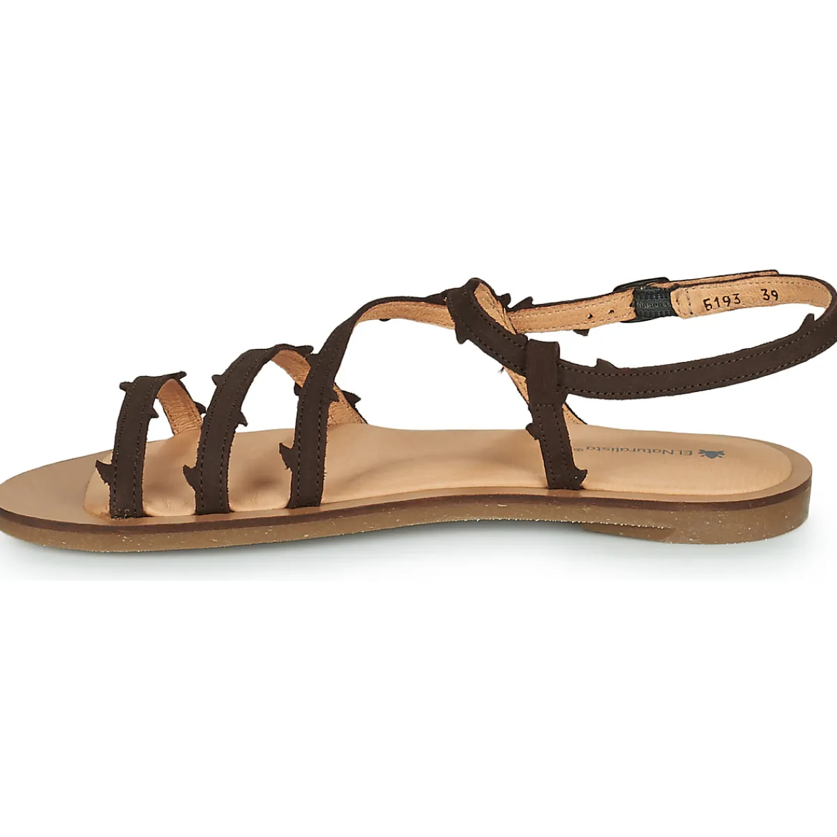 El Naturalista - TULIP N5193 Marron