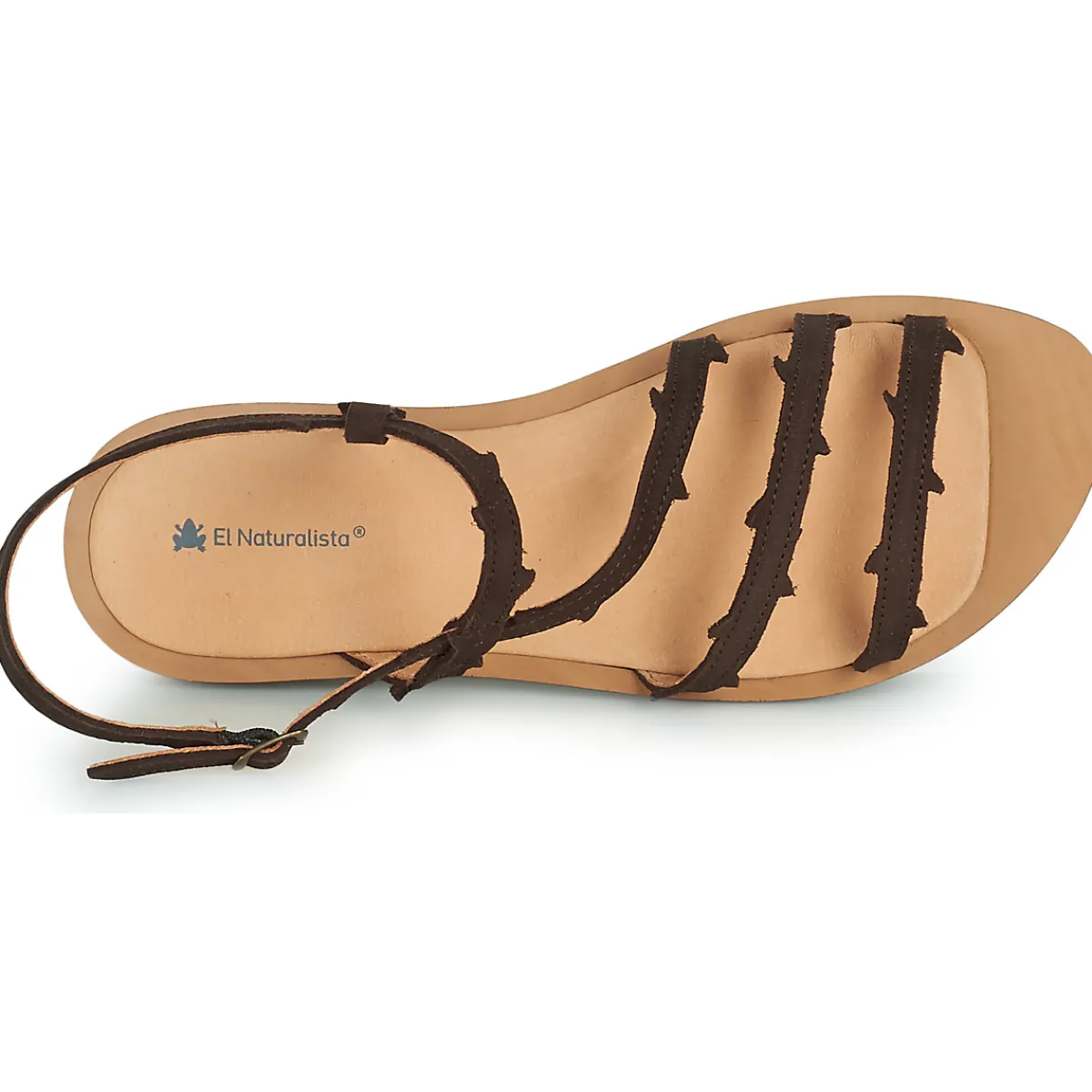 El Naturalista - TULIP N5193 Marron