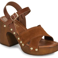 Best Fericelli - ADONIS Camel