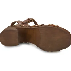 Best Fericelli - ADONIS Camel