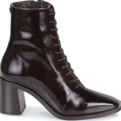 Fericelli - AMANDE Bordeaux