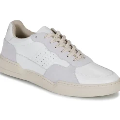 Hot Fericelli - DAME