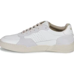 Hot Fericelli - DAME