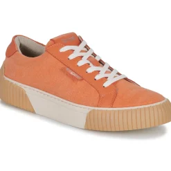 Online Fericelli - FEERIQUE Orange