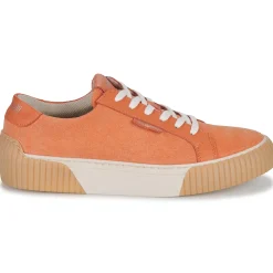 Online Fericelli - FEERIQUE Orange