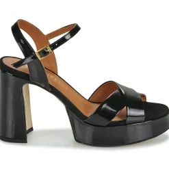 Hot Fericelli - FELICIA Noir