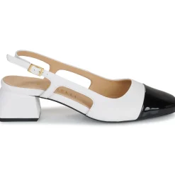 Online Fericelli - LEA