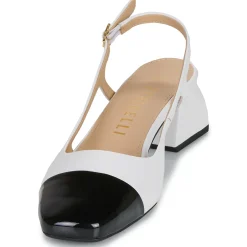 Online Fericelli - LEA