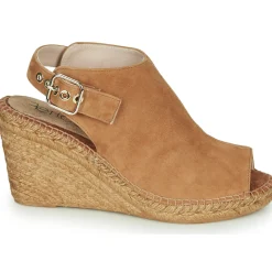 Fericelli - MAUD Camel