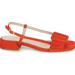 Hot Fericelli - PANILA Rouge