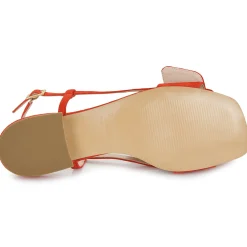 Hot Fericelli - PANILA Rouge