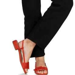 Hot Fericelli - PANILA Rouge