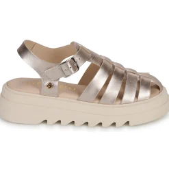 Online Fericelli - SIMEYA