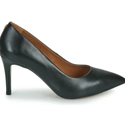 Discount Fericelli - URSINIA Noir