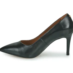 Discount Fericelli - URSINIA Noir