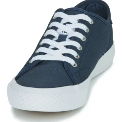 Hot Fila - POINTER CLASSIC Marine