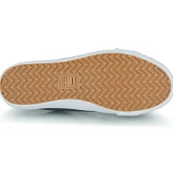 Hot Fila - POINTER CLASSIC Marine