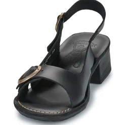 Hot Fly London - P145237000 Noir