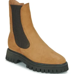 Freelance - GEORGIA Camel