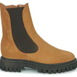 Freelance - GEORGIA Camel