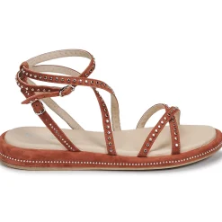 Best Fru.it - 6780-100-COLTO Marron