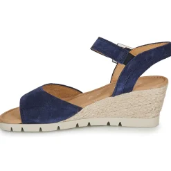 New Gabor - 4204266 Marine