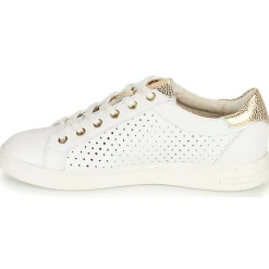 Discount Geox - D JAYSEN B