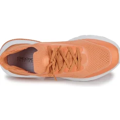 Sale Geox - D SPHERICA ACTIF Pêche