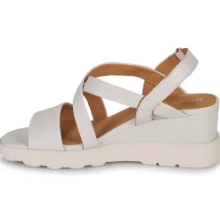 Clearance Geox - D SPHERICA EC6 Beige