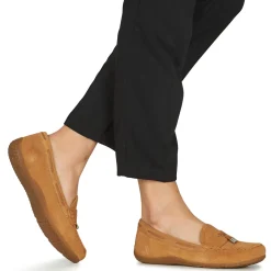 Best Geox - D VEGA MOC Marron