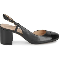 Hot Geox - D VIRNILISA 65 Noir