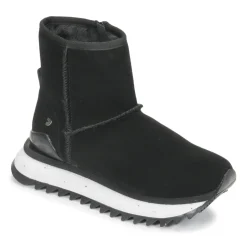 Hot Gioseppo - AMQUI Noir