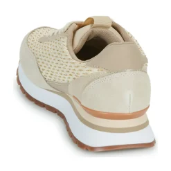 Online Gioseppo - GAGGI