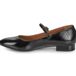 Hot Gioseppo - TOROJE Noir