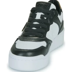 Online Guess - MIRAM6