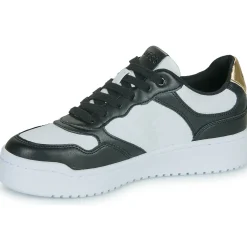 Online Guess - MIRAM6