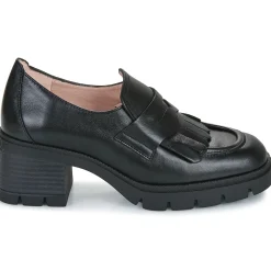 New Hispanitas - EVEREST Noir